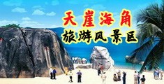 肏肏湿入网站免费在线观看海南三亚-天崖海角旅游风景区